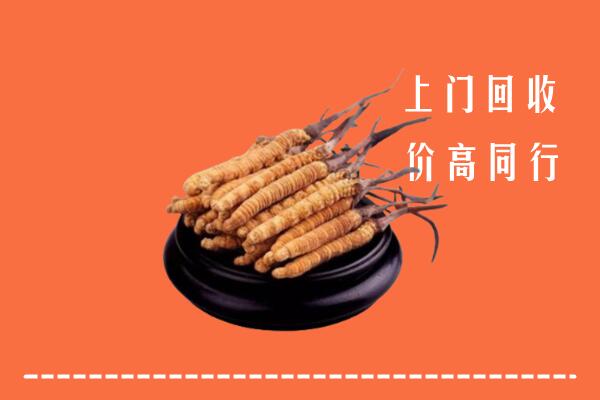 高价求购：黔南回收散虫草